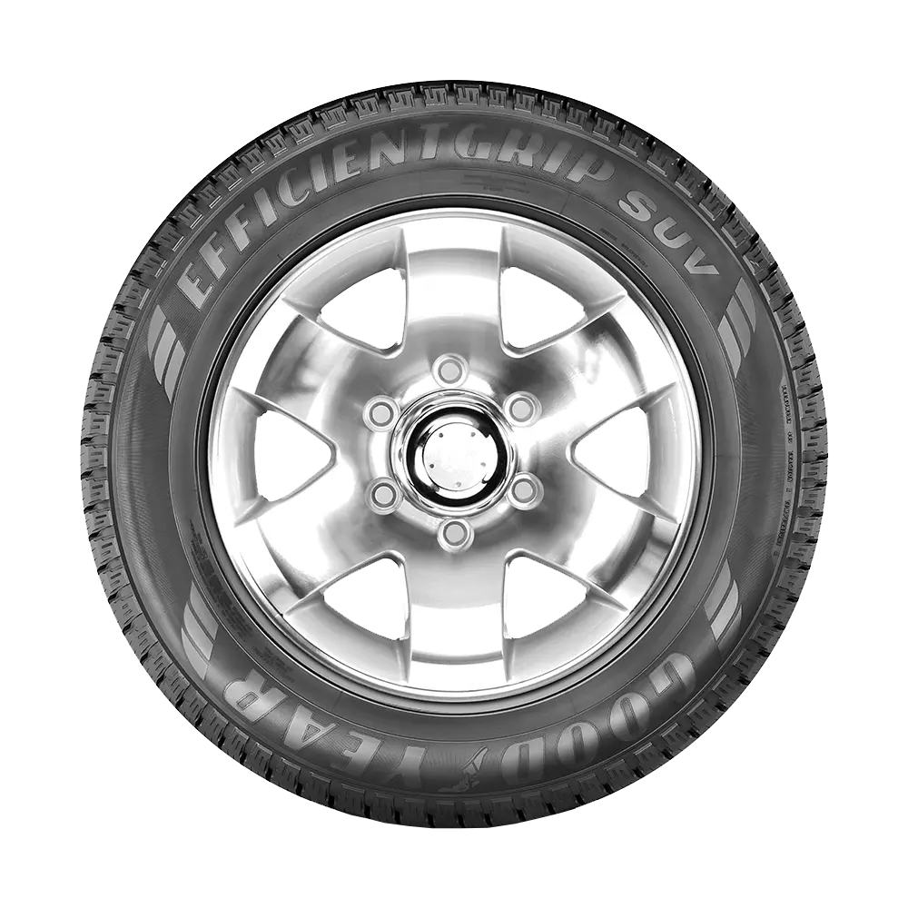 Pneu 205/65R16 95H Goodyear EfficientGrip SUV - Goodyear