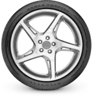 Pneu 195/55R16 91V Goodyear Eagle Touring